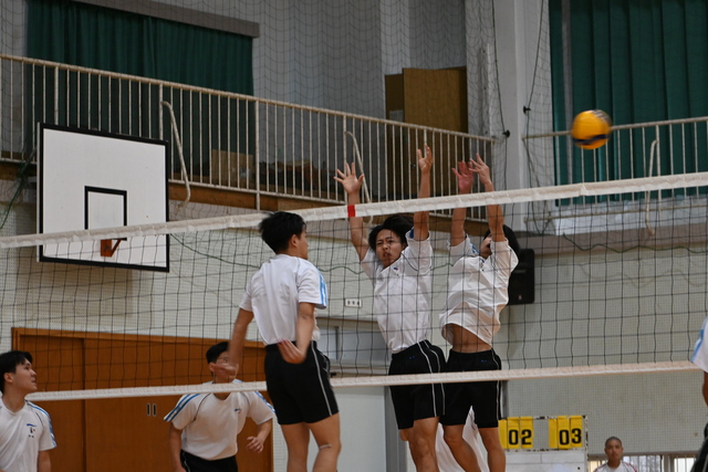 DSC_3154 - コピー