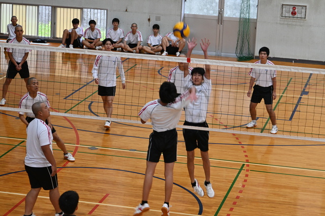 DSC_3195 - コピー